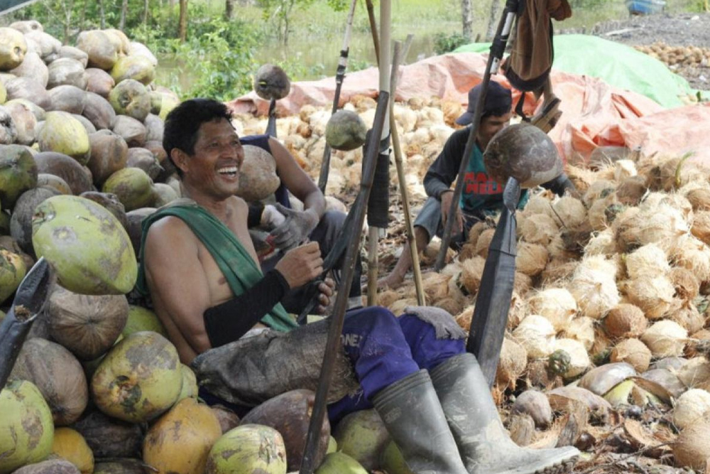 daging kelapa Tangerang